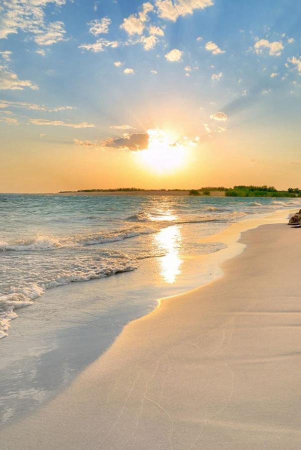 Amazing 5 Minute Walk To The Beach! Appartement Miami Beach